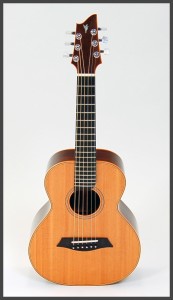 John Marlow Stringed Instruments - Tenor Bluebird Guitar