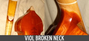 Viol Broken Neck Repair